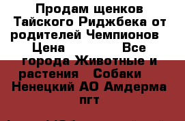 Продам щенков Тайского Риджбека от родителей Чемпионов › Цена ­ 30 000 - Все города Животные и растения » Собаки   . Ненецкий АО,Амдерма пгт